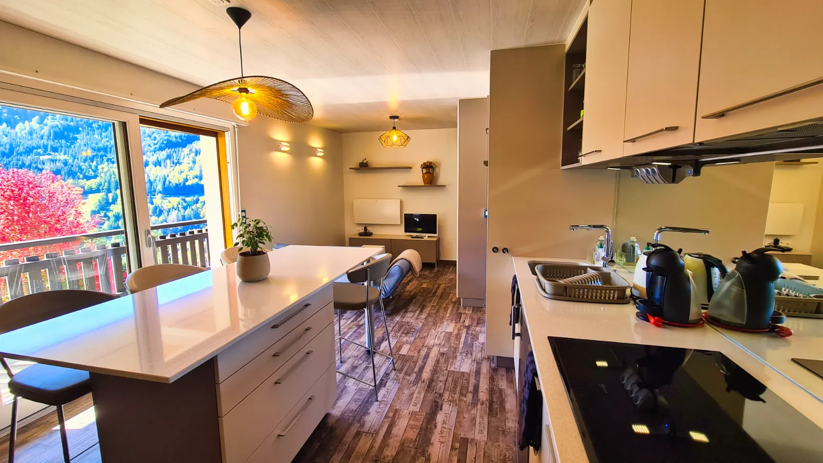 Vue du logement Résidence le Loup